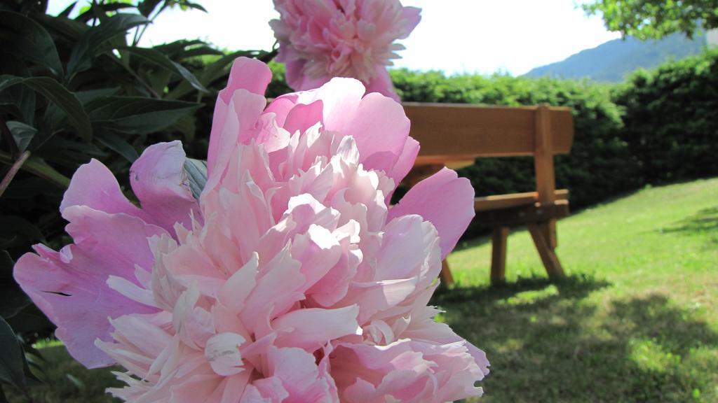 Appartement Garden Olang ภายนอก รูปภาพ